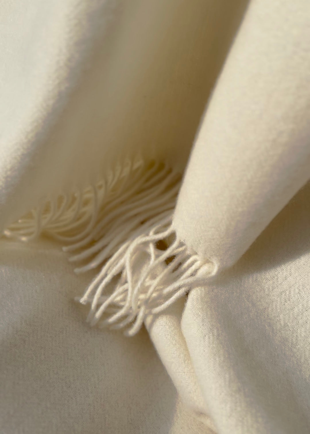 Ivory Cream Cashmere and Merino wool Blanket