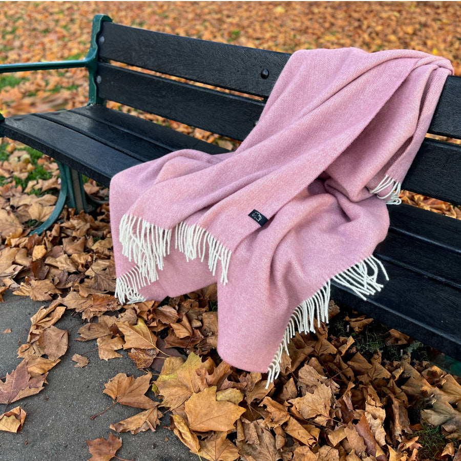 Pink blanket with white fringe draped over a black bench surrounded by autumn leaves.